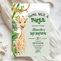 Girafe Verte Jeune Sauvage Trois Troisième Anniver