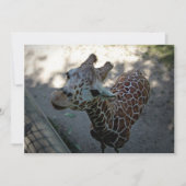 Invitation Giraffe (Devant)