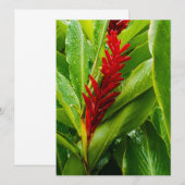 Invitation Glistening Red Ginger Flower and Rain-Kissed Leave (Devant / Derrière)