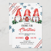 Invitation Gnome Pour Fête De Noël (Devant / Derrière)