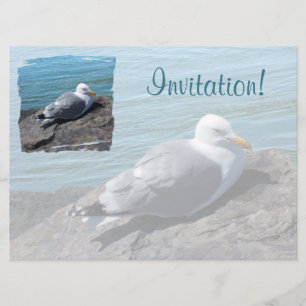 Invitation Goéland hareng posé sur Rock Jetty :