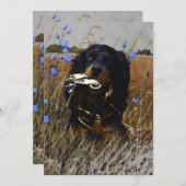 Invitation Gordon Setter (Devant / Derrière)