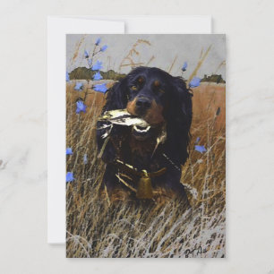 Invitation Gordon Setter
