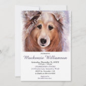 INVITATION GORGEOUS SHELTI PUPPY SOUHAITE UN JOLI ANNIVERSAIR (Devant)