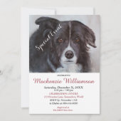 INVITATION GORGEUSE COLLIE FRONTALIÈRE NOIRE SOUHAITE UN ANNI (Devant)
