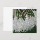 Invitation gouttelettes d'eau (Devant / Derrière)