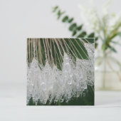 Invitation gouttelettes d'eau (Debout devant)