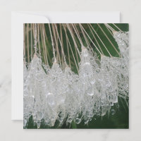gouttelettes d'eau