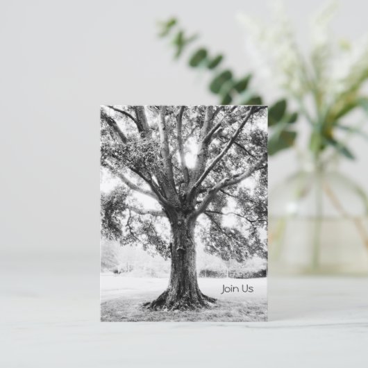 Invitation Grand (Debout devant)