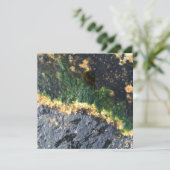 Invitation grand canal (Debout devant)