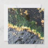 Invitation grand canal (Devant)