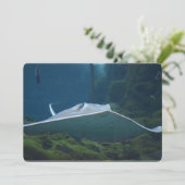 Invitation Grand Stingray (Debout devant)