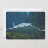 Invitation Grand Stingray (Devant)