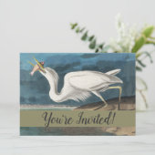Invitation Grande Aigrette d'Audubon : Oiseau côtier vintage (Debout devant)