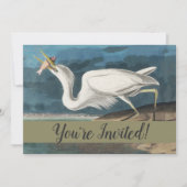 Invitation Grande Peinture de la faune d'Audubon Heron blanc (Devant)