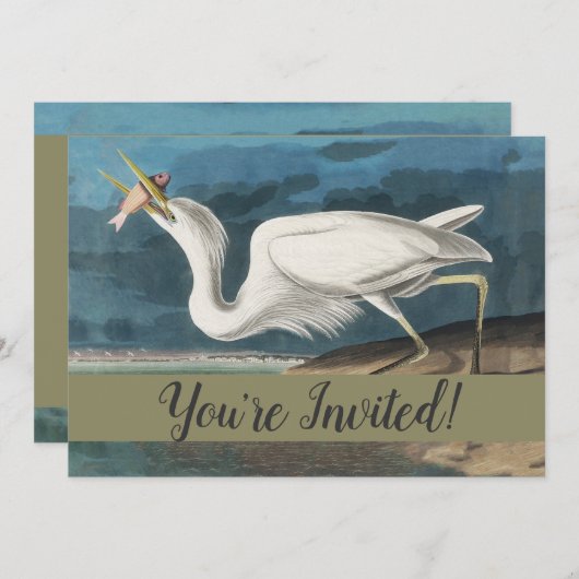 Invitation Grande Peinture de la faune d'Audubon Heron blanc (Devant / Derrière)