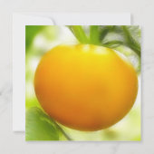 Invitation Grande tomate orange d'héritage (Dos)