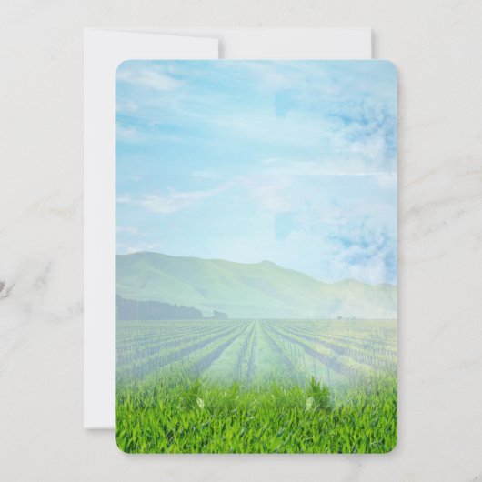 Invitation Grapevines, chèvres et colibris (Dos)