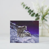 Invitation Gray Wolves (Debout devant)