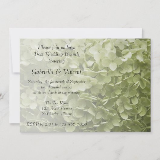 Invitation Green Annabelle Hydrangea Post Mariage Brunch (Devant)