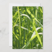 Invitation Green Field Grass Fête des mariées extérieure (Dos)