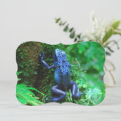 Invitation Grenouille à flèches de poison bleu (Debout devant)