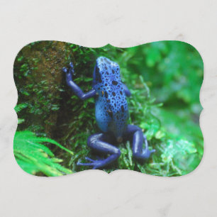 Invitation Grenouille à flèches de poison bleu