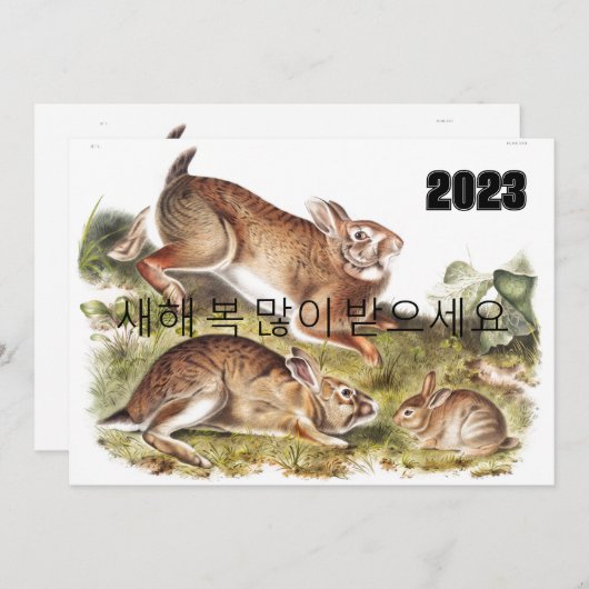 Invitation Grey Rabbit Bonne année en Coréen 2023 (Devant / Derrière)