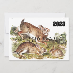 Invitation Grey Rabbit Bonne année en Coréen 2023
