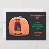 Invitation Gris foncé et orange Citrouille Kitten Halloween (Devant)