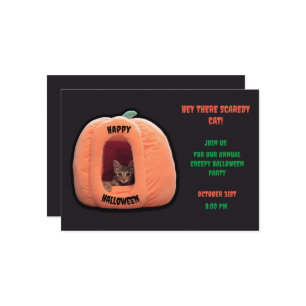Invitation Gris foncé et orange Citrouille Kitten Halloween