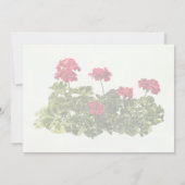 Invitation Group of Red Geraniums (Dos)