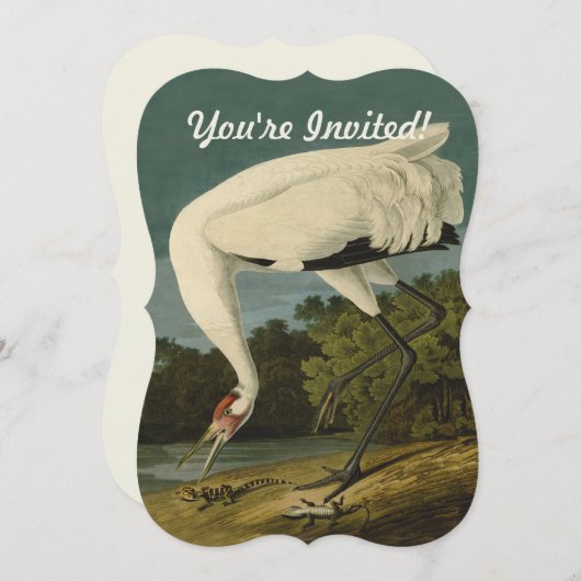 Invitation Grue blanche Audubon Peinture d'oiseaux (Devant / Derrière)