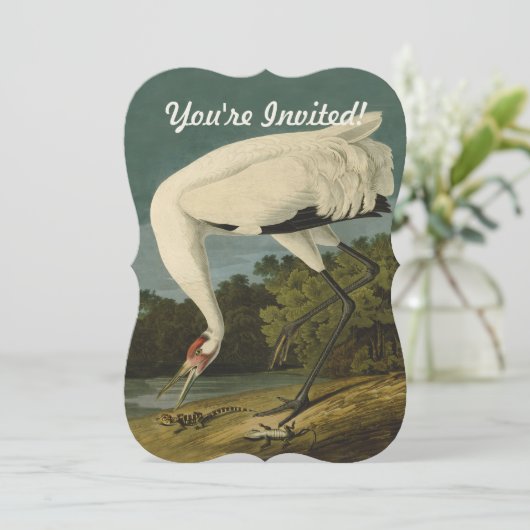 Invitation Grue blanche Audubon Peinture d'oiseaux (Debout devant)