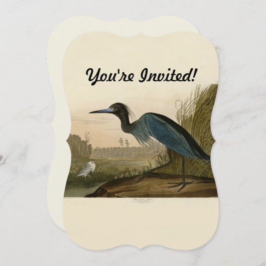 Invitation Grue Bleue Heron Audubon Peinture (Devant / Derrière)
