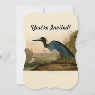Invitation Grue Bleue Heron Audubon Peinture