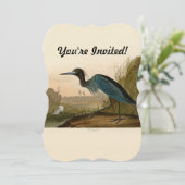 Invitation Grue Bleue Heron Audubon Peinture (Debout devant)