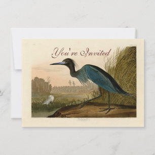 Invitation Grue Bleue Heron Audubon Peinture