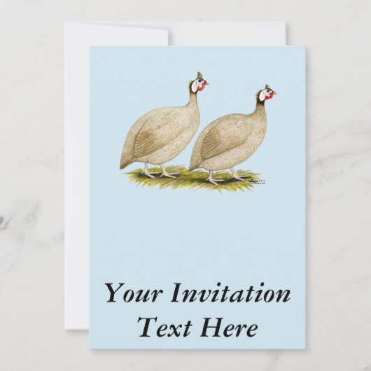 Invitation Guineas Buff Dundotte Fowl (Devant)