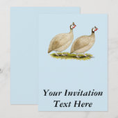 Invitation Guineas Buff Dundotte Fowl (Devant / Derrière)