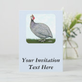 Invitation Guinée Lavande en vedette (Debout devant)