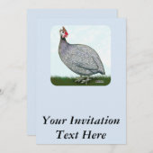 Invitation Guinée Lavande en vedette (Devant / Derrière)