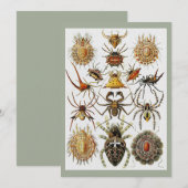 Invitation Haeckel Araignées dorées planche 66 (Devant / Derrière)