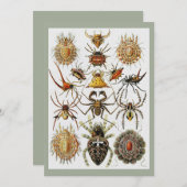 Invitation  Haeckel Golden Spiders planche 66 (Devant / Derrière)