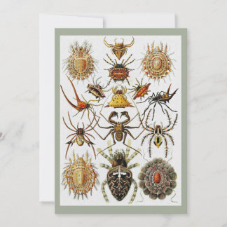 Invitation Haeckel Golden Spiders planche 66