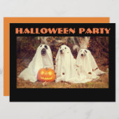 INVITATION HALLOWEWEEN FÊTE D'INVITATION, CHIENS COMME DES GH (Devant / Derrière)