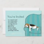 Invitation Happy Couch Beagle | Jolie fête des animaux de com (Devant)