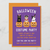 Invitation Happy Halloween Cats Jack-o'-lantern (Devant / Derrière)