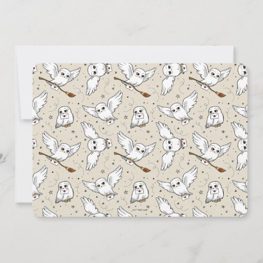 Invitation Harry Potter | Hedwig Baby Sprinkle (Dos)