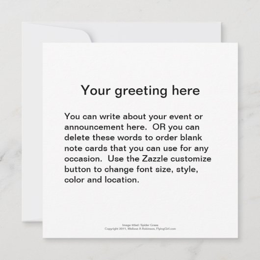 Invitation Herbe d'araignée plante rayé assez vert et blanc (Dos)